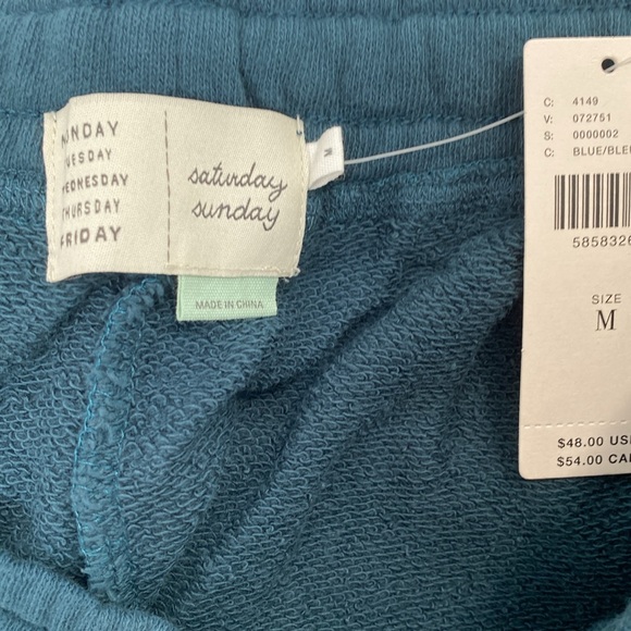 Anthropologie Teal Women's Shorts by Saturday Sunday - Picture 3 of 6